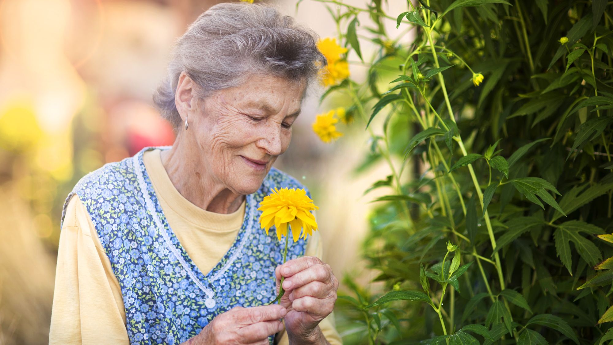 Primavera per tutti: un progetto di inclusione e comunità
